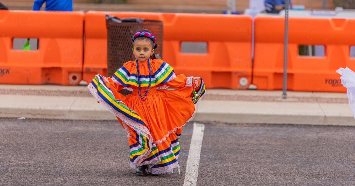 stand-up-for-south-phoenix-protect-south-central-phoenix-from-delayed
